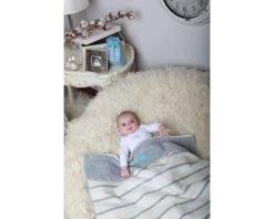Zaffiro Grijs & Lichtroze Gestreept 75 X 100 Cm Wiegdeken 15120 -Babywinkel Verkoop 23442 7406ec36001291ca5060b2ad 4