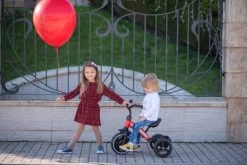 Lorelli Dallas Red Driewieler 1005050-004 23 Lorelli Dallas Red Driewieler 1005050-004 -Babywinkel Verkoop lorelli dallas driewieler 10