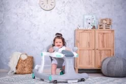 Lorelli Rider Pink & Grey 2-in-1 Loopstoeltje 1012039-0002 -Babywinkel Verkoop lorelli rider grey white 2 in 1 loopstoeltje 1012039 0001 6 1 2