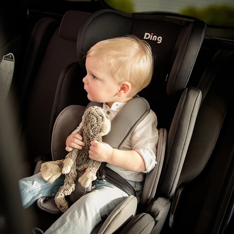 Ding Bas Roze Autostoel 9-36 Kg CS003 9 Ding Bas Roze Autostoel 9-36 Kg CS003 - Afbeelding 7