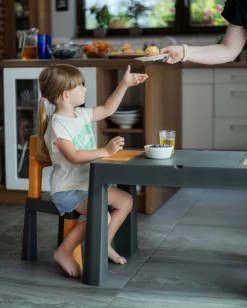 Tega Baby Teggi Graphite/Mustard Multifun 3-in-1 Tafel Met Twee Stoeltjes TI-011-172 -Babywinkel Verkoop tega baby teggi graphite.mustard multifun 3 in 1 tafel 2