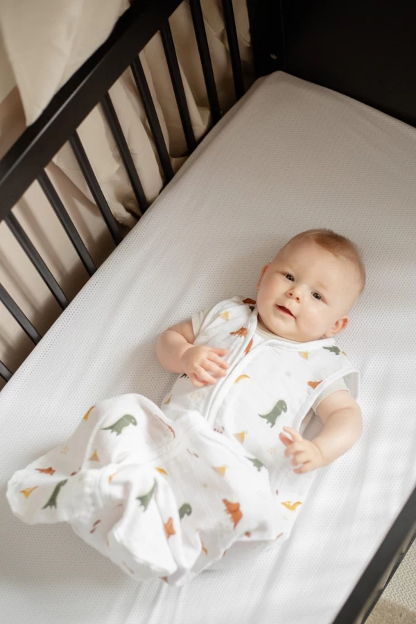 Blush & Blossom Dinosaurus 70 Cm Hydrofiel Slaapzak TR-BB443423 7 Blush & Blossom Dinosaurus 70 Cm Hydrofiel Slaapzak TR-BB443423 - Afbeelding 5